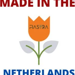 Fiastra Flaare - Extra Veilige Pok Mon Opslag Doos - Pok Mon Kaarten - Pok Mon Deckbox - Pok Mon Box -trading-cards Winkel 550x576